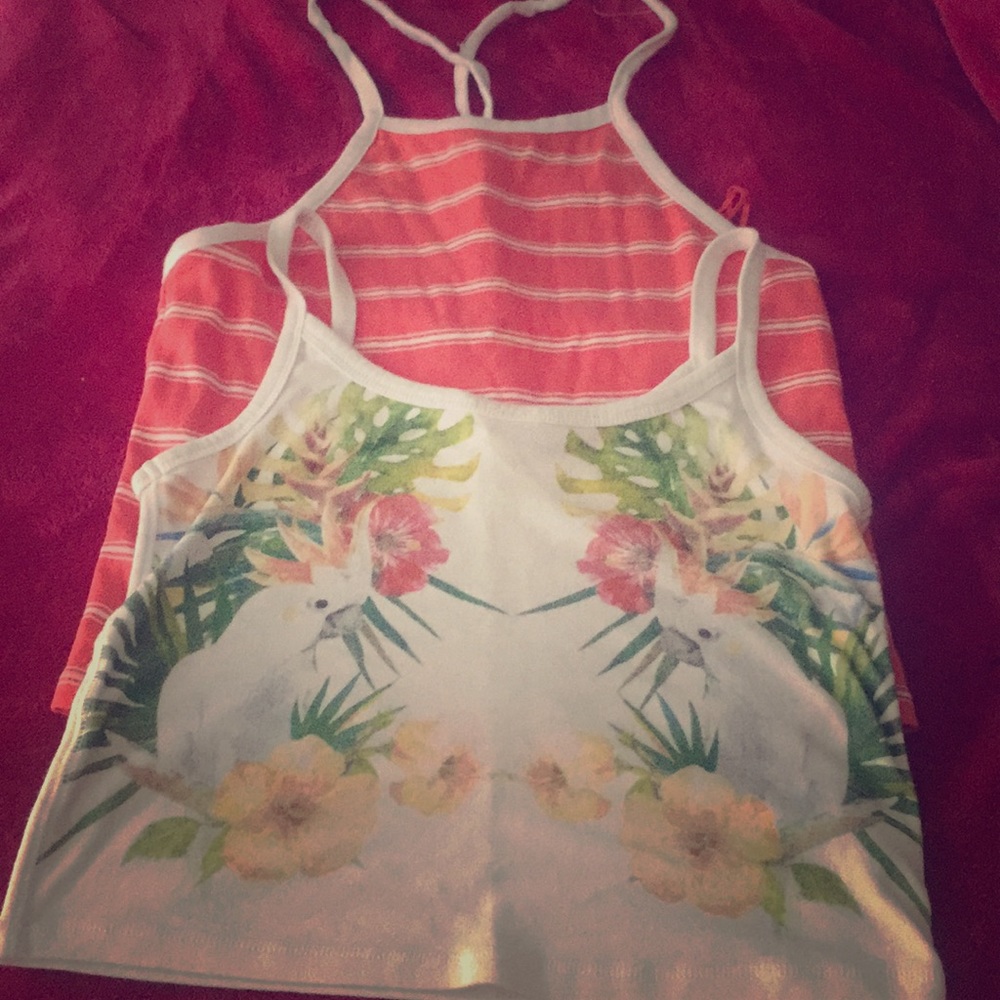 Striped Halter Top and Tropical Crop Top Set